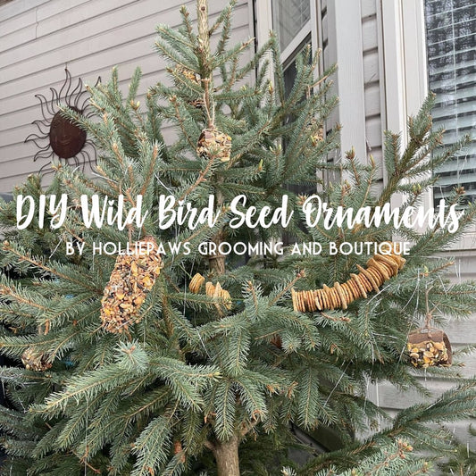 DIY Wild Bird Seed Ornaments! | HolliePaws